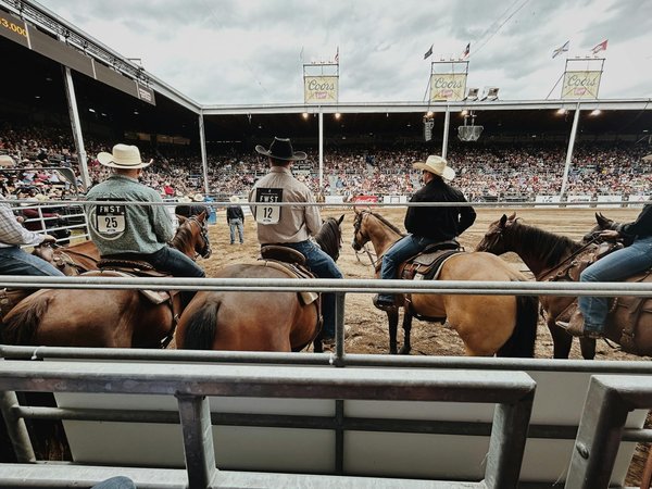 Les records dans le basket que tout pari sportif doit connaître